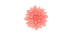 Transparent Pink Lucite Dahlia Flower Cabochon 16mm