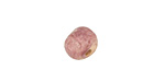 Gaea Ceramic Purple Haze Organic Round 9-10x12-13mm