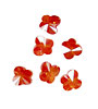 Poppy Faceted Butterfly 6x6mm