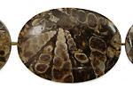 Turritella Agate Flat Oval 38-45x25-31mm