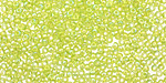 TOHO Transparent Rainbow Lime Green Round 11/0 Seed Bead