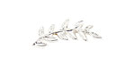 Nunn Design Sterling Silver (plated) Left Leaf Toggle Bar 26x8mm