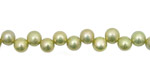 Pistachio Dancing Buttons 6-6.5mm