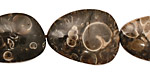 Turritella Agate Flat Freeform Slab 18-35x12-20mm