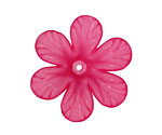 Lucite Plumeria Clematis Flower 8x30mm