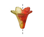 Vintage Meadow Acrylic Fall Bloom Large Bellflower 23x22mm