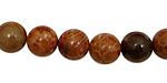 Fossil Coral (red) Round 10mm