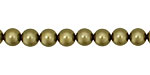 Olive Shell Pearl Round 6mm