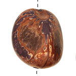 Tagua Nut Midnight Nugget 40-45x32-36mm