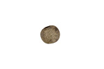 Gaea Ceramic Sage on Chocolate Organic Round 9-10x12-13mm