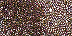 TOHO Metallic Iris Purple Round 11/0 Seed Bead