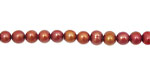 Fire Pink Potato 4.5-5mm