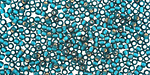 TOHO Teal (with Frosted Silver Lining) Round 11/0 Seed Bead