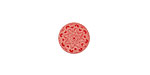 Lillypilly Red Lace Anodized Aluminum Disc 11mm, 24 gauge