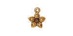 TierraCast Antique Gold (plated) Star Jasmine Charm 12x14mm