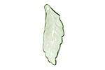 Lucite Transparent Chrysolite Mini Turning Leaf 10x29mm