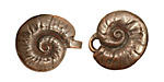 Green Girl Shibuichi Seashell Clasp 17x33mm