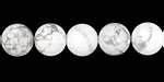 White Howlite Round 10mm