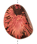 Tagua Nut Coral Nugget 40-45x32-36mm