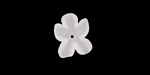 Matte Crystal Lucite Hibiscus Flower 3x11-14mm
