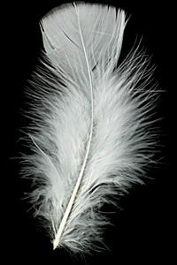 Creme Turkey Flat Feather 100-152mm