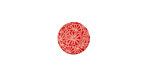 Lillypilly Red Weathered Daisy Anodized Aluminum Disc 11mm, 24 gauge