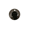 Onyx Faceted Coin 16mm