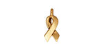 TierraCast Antique Gold (plated) Awareness Charm 6x17mm