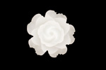Transparent Matte White Lucite Rose Cabochon 23mm