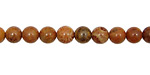 Fossil Coral (red) Round 6mm