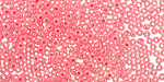 TOHO Ceylon Hot Pink Round 11/0 Seed Bead