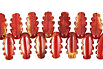 Czech Glass Sienna Feathered Dagger 5x14mm