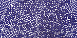TOHO Transparent Frosted Cobalt Round 11/0 Seed Bead