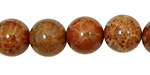 Fossil Coral (red) Round 14mm