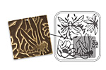 Vintaj DecoEmboss Die Dragonfly Pond 2 3/8"x2 5/8"