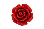Coral (imitation) Carved Rose 25mm