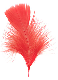 Tangerine Turkey Flat Feather 100-152mm