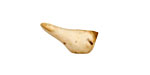 Kylie Parry Ceramic Vanilla Tiny Stone Bird 8x19mm