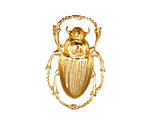Brass Scarab Pendant 20x32mm