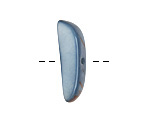 Tagua Nut Stonewashed Splinter (center-drilled) 7-8x28-35mm
