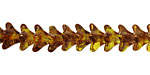 Czech Glass Transparent Olive Rose Gold Luster 5 Point Bellflower 6x9mm