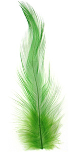 Chartreuse Neck Hackle Feather 100-152mm