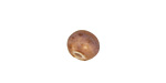 Gaea Ceramic Hyacinth Organic Round 9-10x12-13mm
