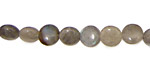 Labradorite Puff Coin 8mm