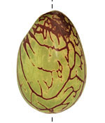 Tagua Nut Apple Nugget 40-45x32-36mm