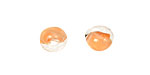 Unicorne Beads Tangerine Teardrop 7x9mm