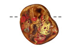 Ceramic Freeform Nugget 27-29x29-30mm
