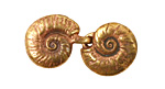 Green Girl Bronze Seashell Clasp 17x33mm