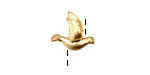Ezel Findings Gold (plated) Peace Dove 11x15mm