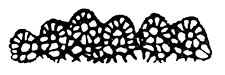 Tatted Border Rubber Stamp 70x17mm